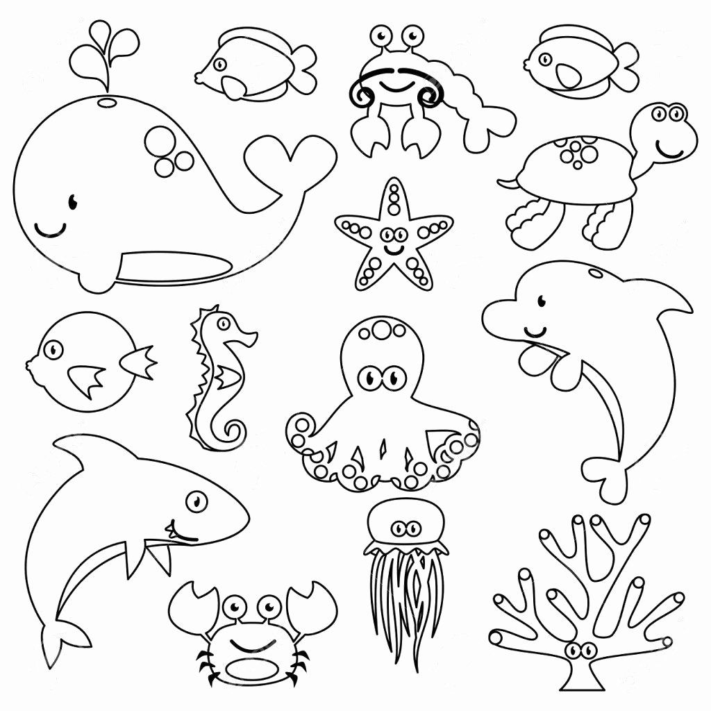 Sea Creature Coloring Pages