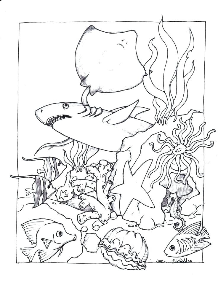 Coloring Pages Sea Creatures