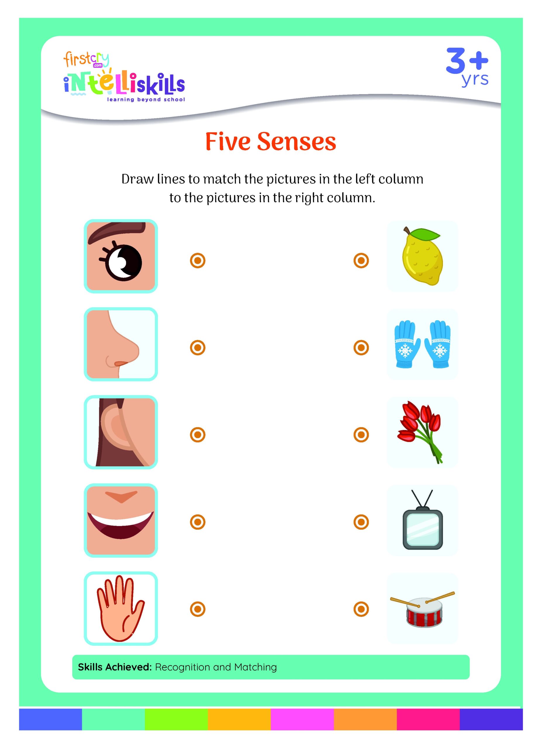 5 senses worksheets for kindergarten