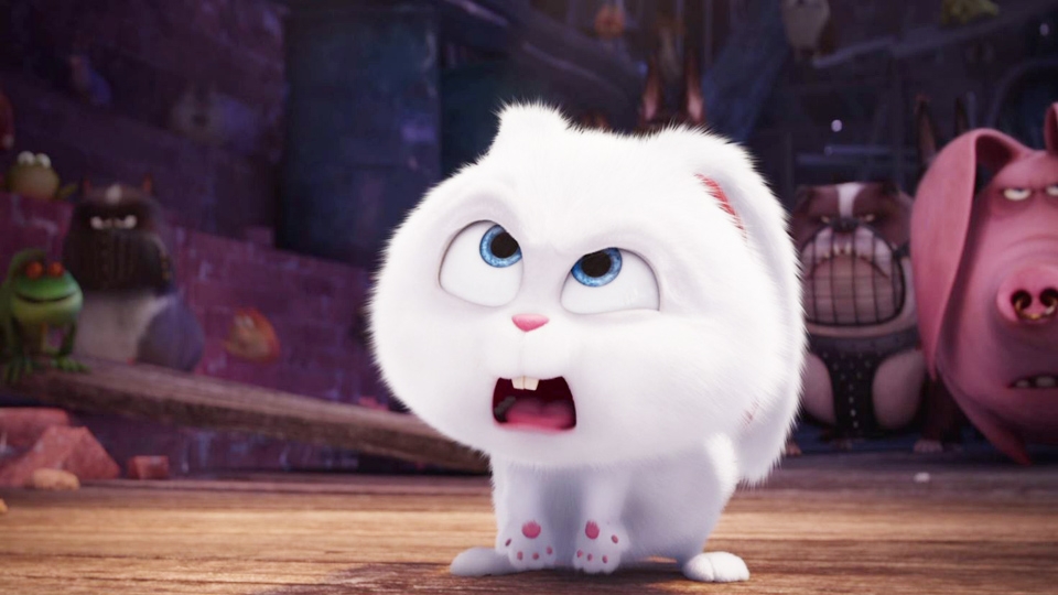 Snowball The Secret Life Of Pets Blank Template Imgflip