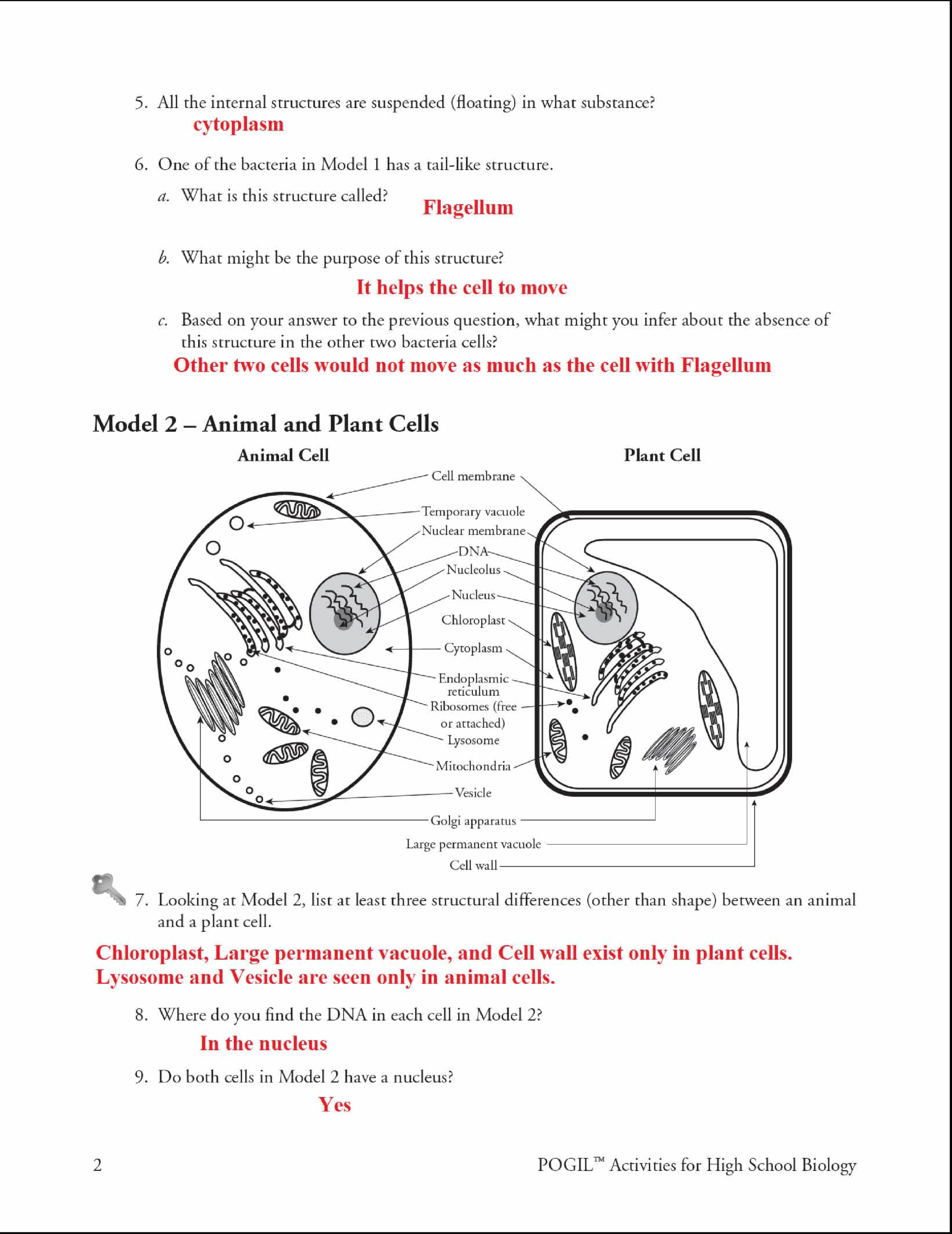 cells prokaryotic and eukaryotic worksheet