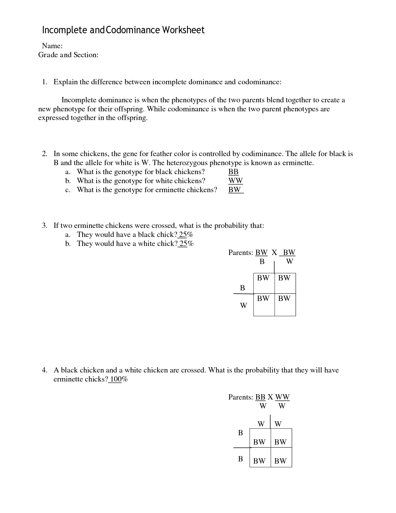 SOLUTION Incomplete And Codominance Worksheet And Answer Key