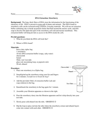 Strawberry DNA Lab Report Blank docx Name General Biology Lab 