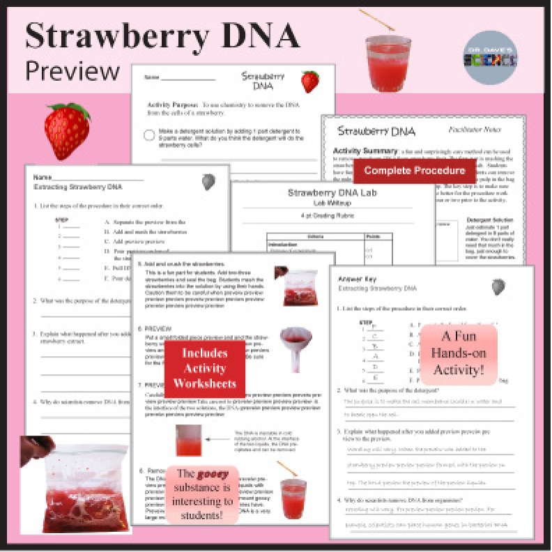 Strawberry DNA Lab Report Blank docx Name General Biology Lab