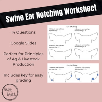 Swine Ear Notching Worksheet By Bits From Britt TPT