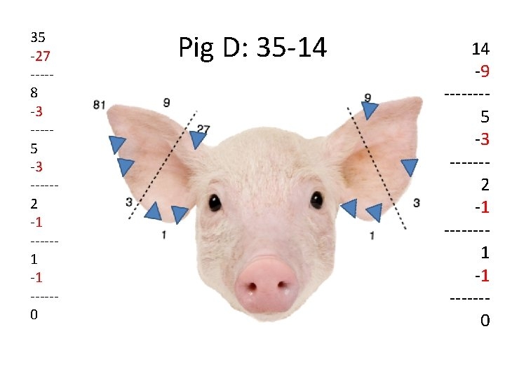 Swine Ear Notching Worksheet Key Printable Calendars AT A GLANCE