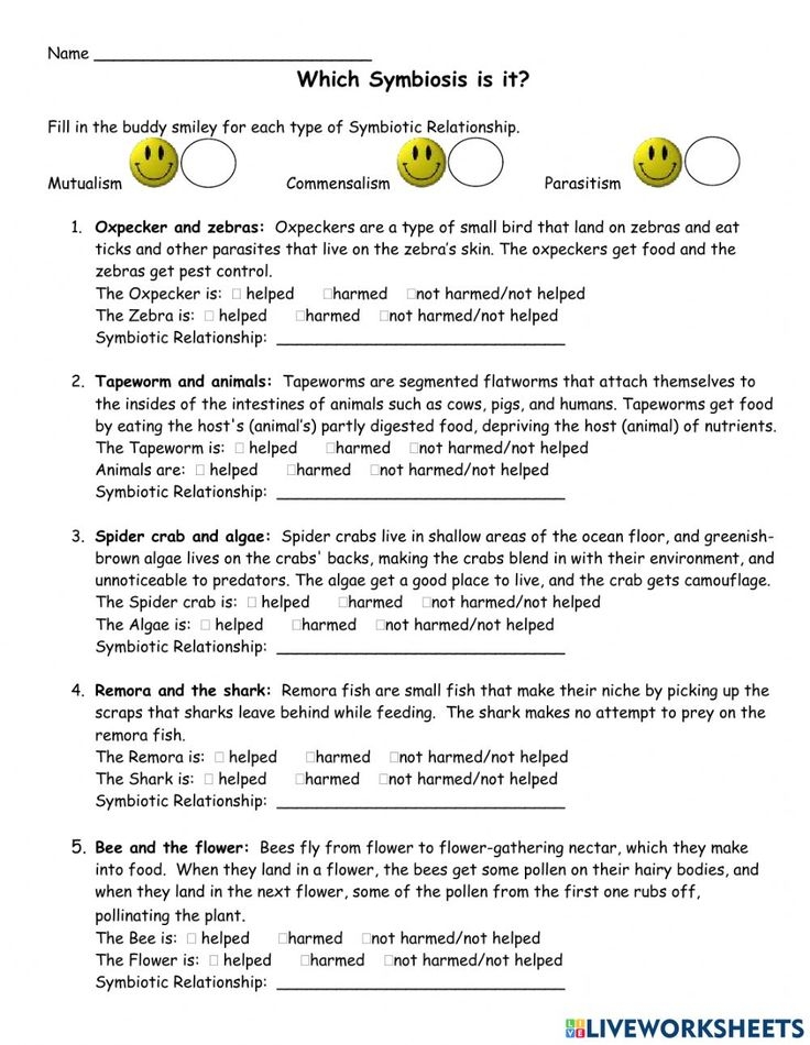 Symbiosis Worksheet Answer Key Abhayjere