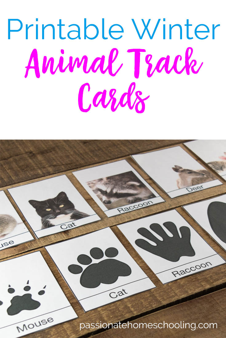 These Free Printable Animal Track Cards Are Perfect For A Winter Nature 