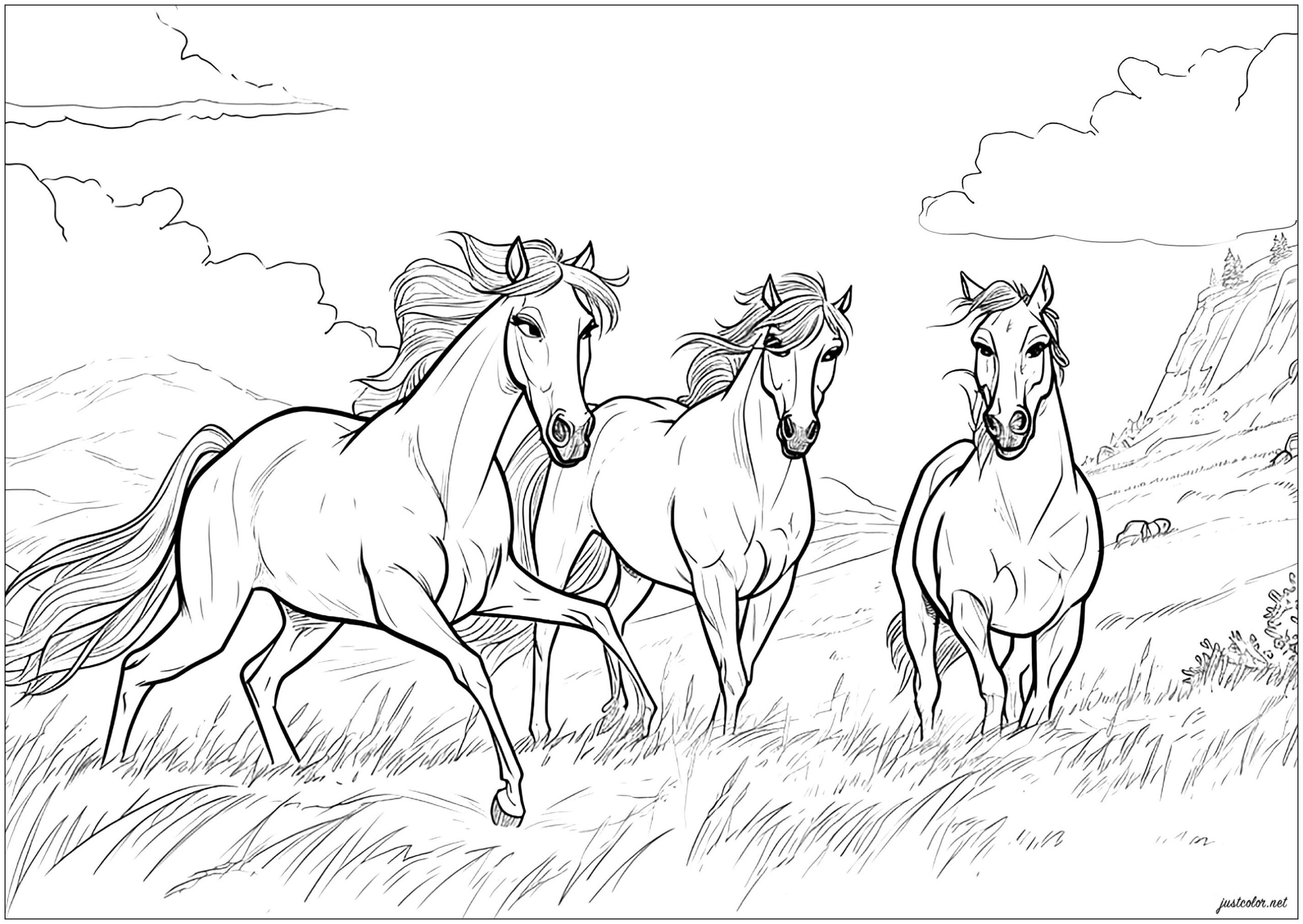 Horses Coloring Page