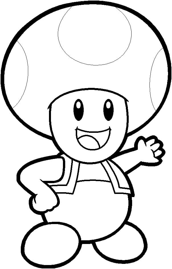 Toad From Mario Bros