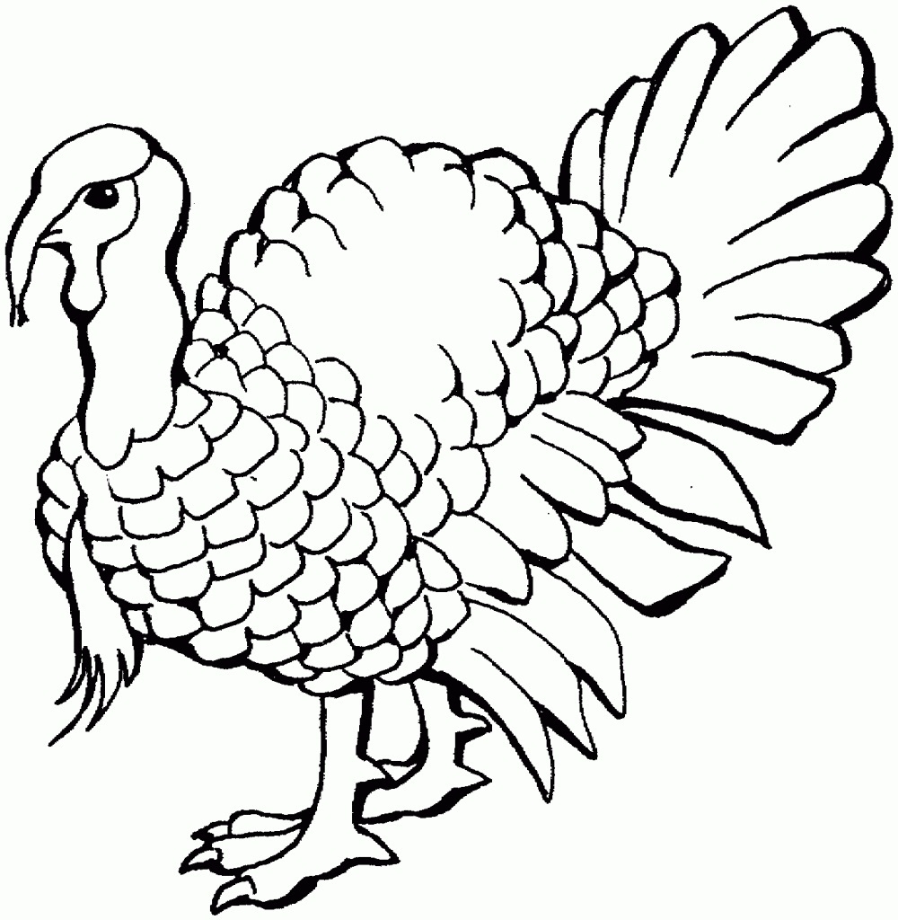 Turkey Color Pages ColoringMe