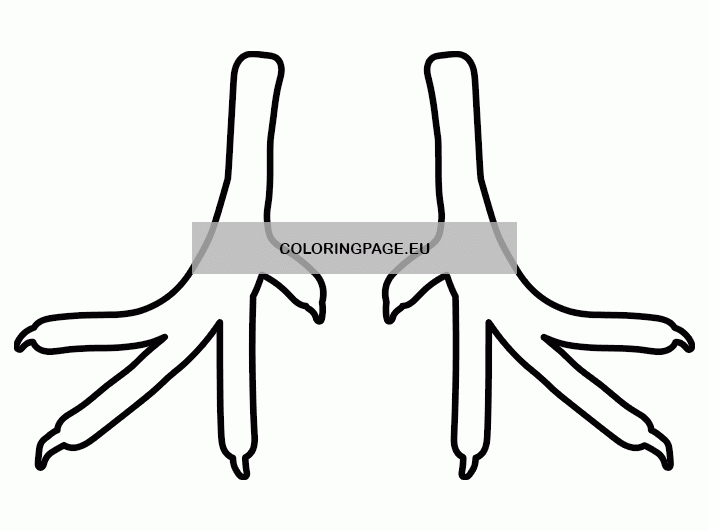 free coloring page of a turkey