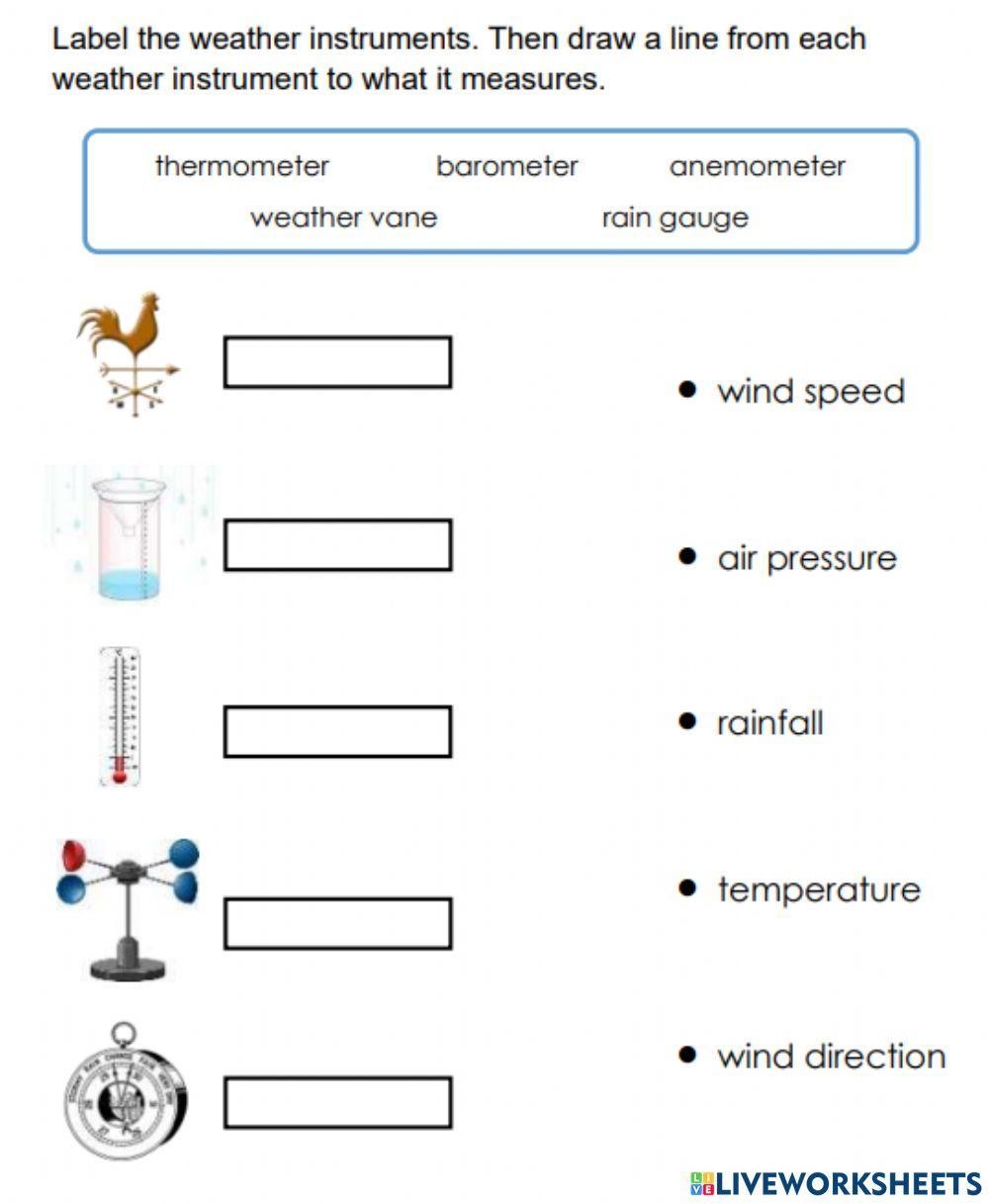 Weather Instruments Trisha Haynes Live Worksheets Worksheets Library