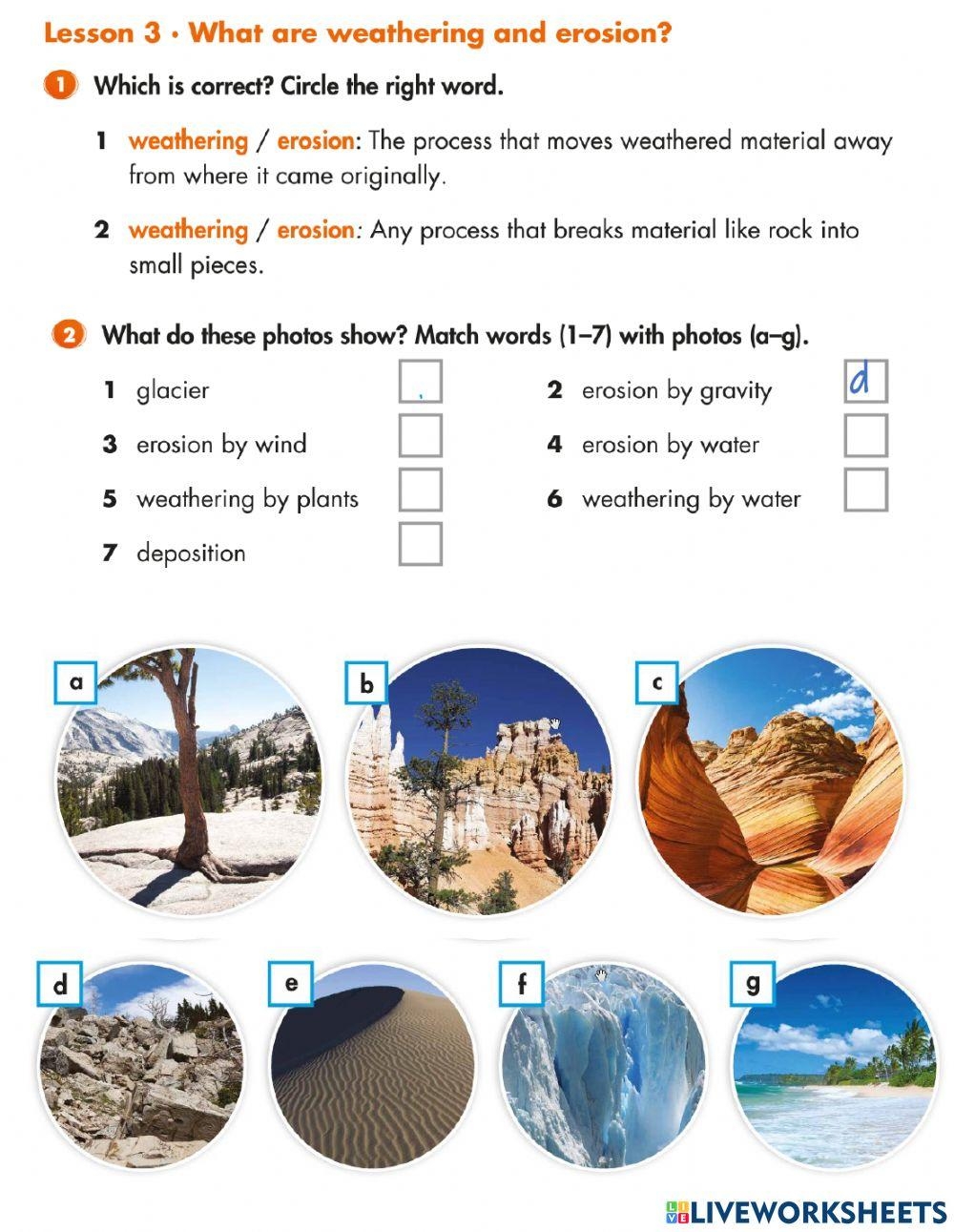 Weathering And Erosion Interactive Activity Live Worksheets 