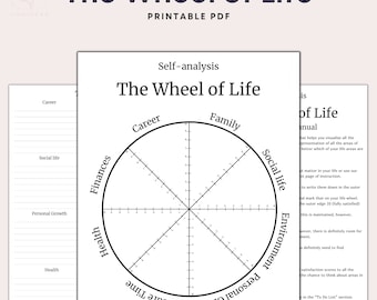 wheel of life worksheet