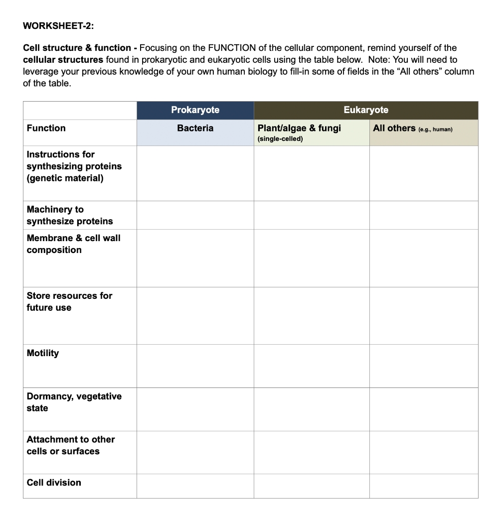 Worksheet And Quiz On Plant Cell Structure And Function Worksheets 