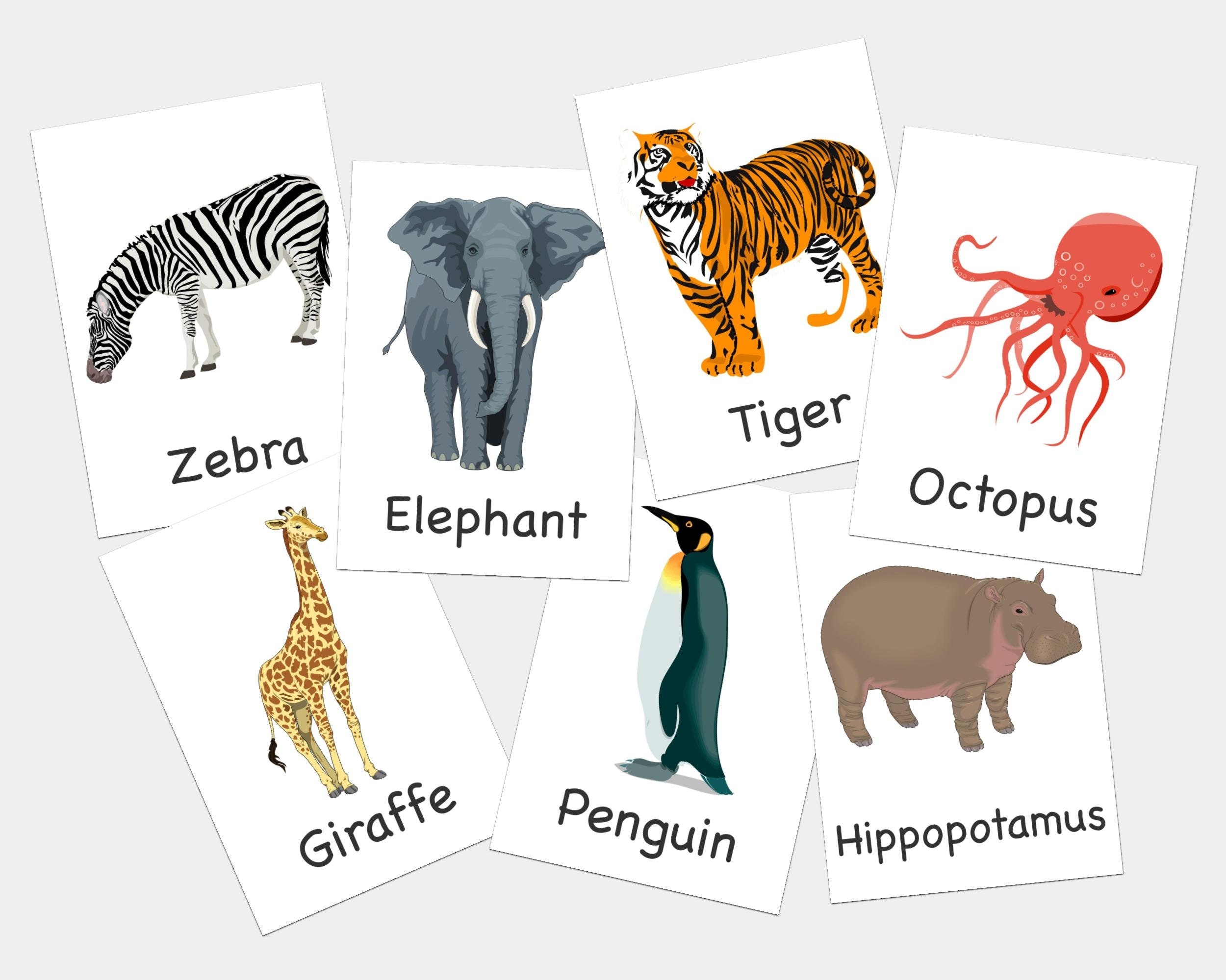 Zoo Animal Cards Printable Zoo Animals Animal Printables Animal 